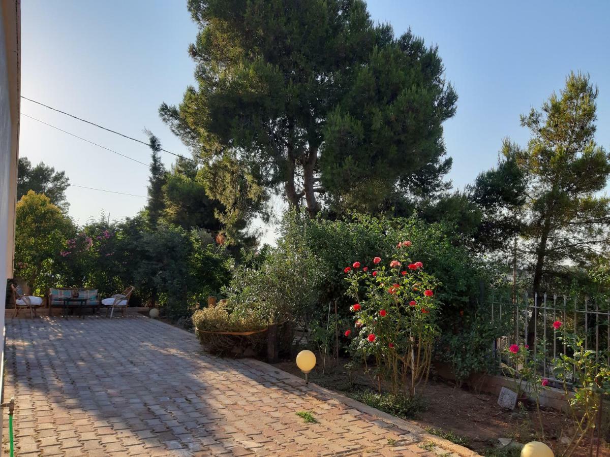 Litsas'Cozy House Villa Porto Rafti Ngoại thất bức ảnh